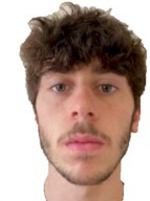 VERCELLINO