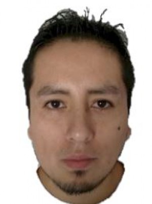 VIDAL LLERENA