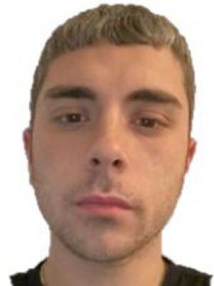 VITIELLO