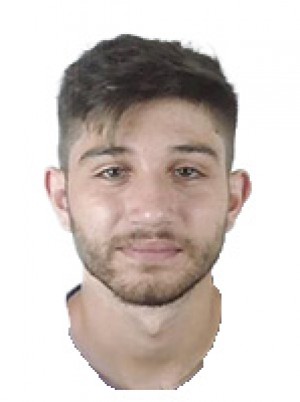 FERLITO