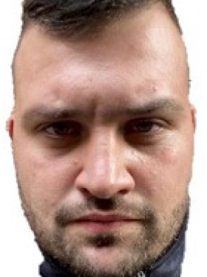 VOLPE