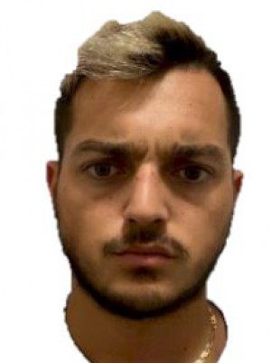 VOLPE