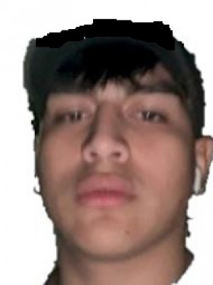 ZAMORA CHEVEZ