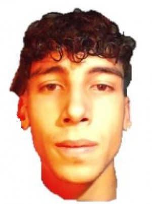 ZINGARO
