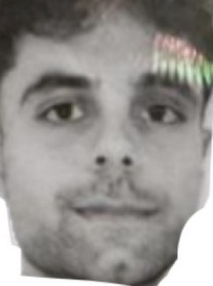 PITTALUGA