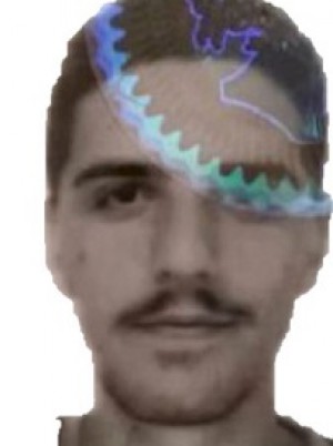 ALBANESE
