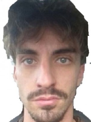 ANSALDO