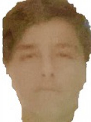 BALLERINI
