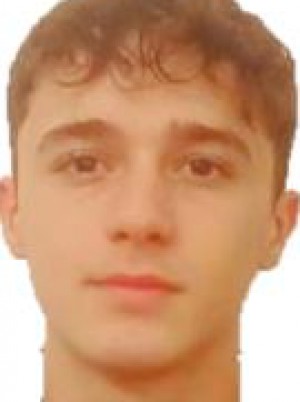 BANDINI