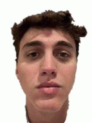 CEPPELLINI