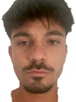 CONSIGLI