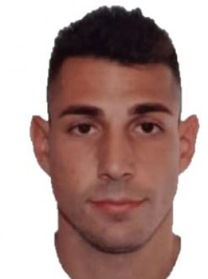 FERVORINI
