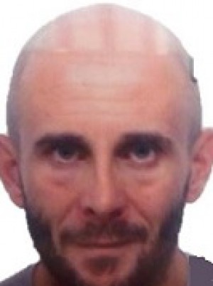 FIALDINI
