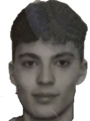 GATTO