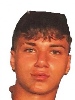 GUERRISI