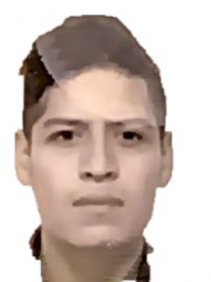 GUEVARA RODRIGUEZ