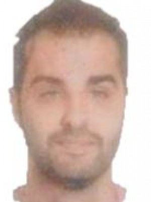 IOVINO