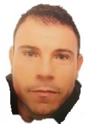 PICCARDO