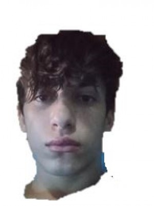 FRESI