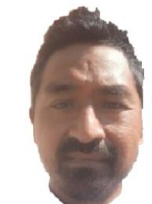 MAFFEI