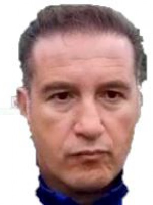 MELEDINA