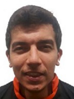 MENDELEVICH