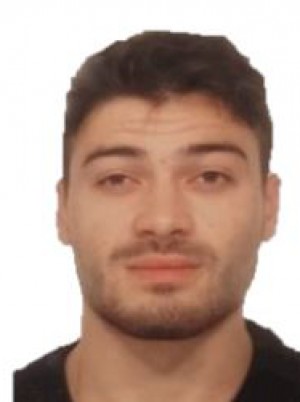 MERLER