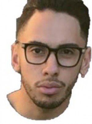 PALADINO