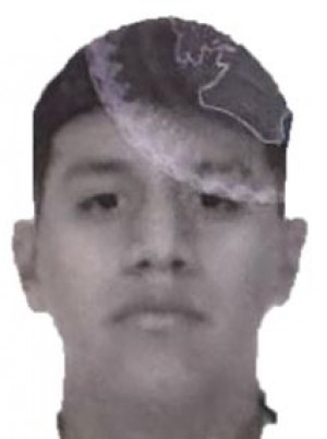 PALMA VARGAS