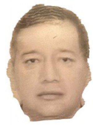 PALMA PALMA 