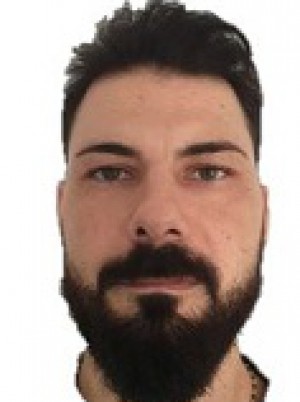 PANZONE