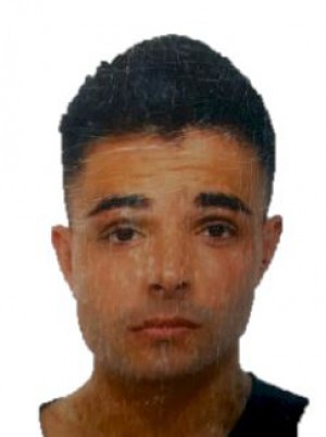 PALLATTELLA