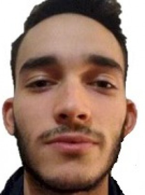 POLLANI
