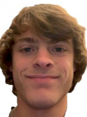 PULSONI