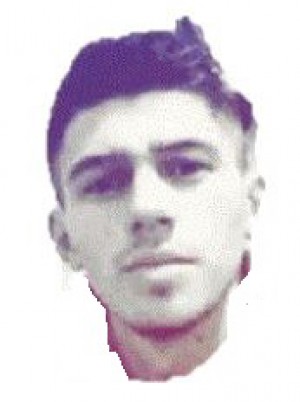 RONDANINO
