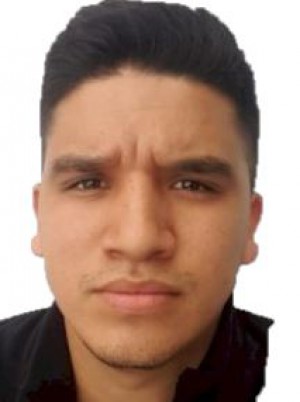 TAFUR AYALA