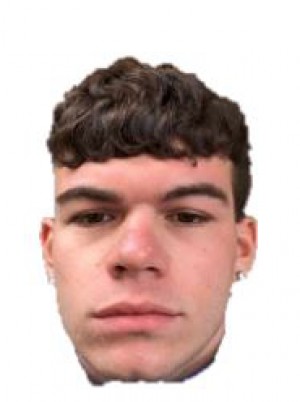 TREBINI