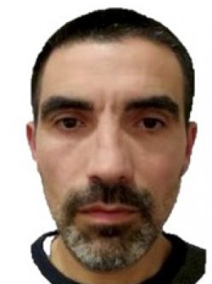 TREBINI