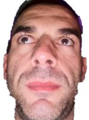 VENDOLA