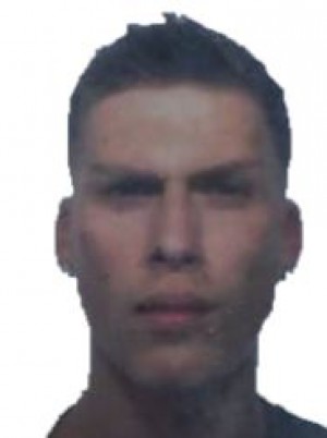 VITIELLO