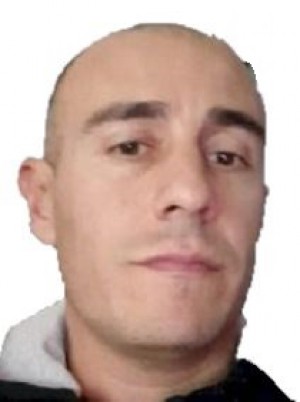 VOLPE